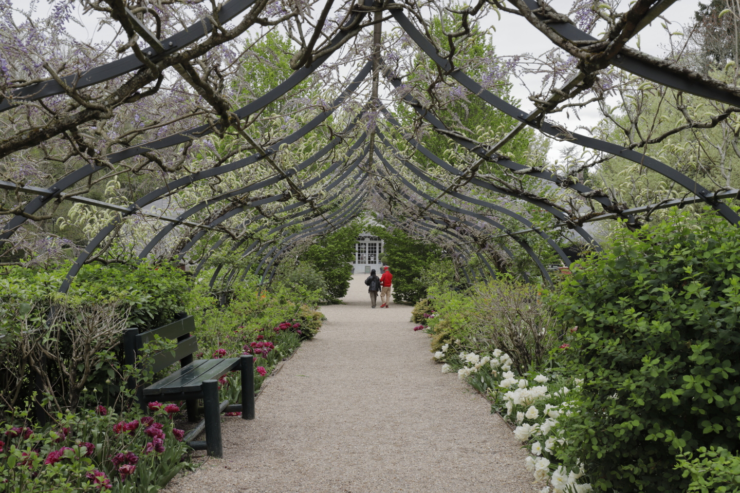 Le jardin des apprentis.