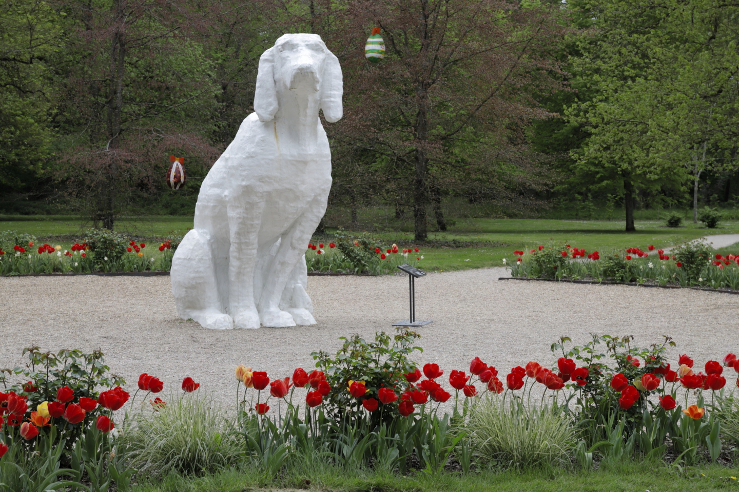 Face au chateau, entre des tulipes à dominante rouge, une structure représentant un chien de race français tricolore.